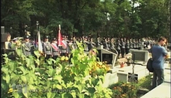 Świadkowie koronni łamią prawo?